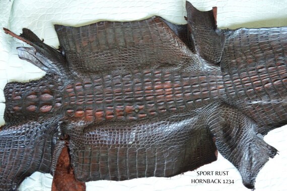 Crocodile hide hotsell