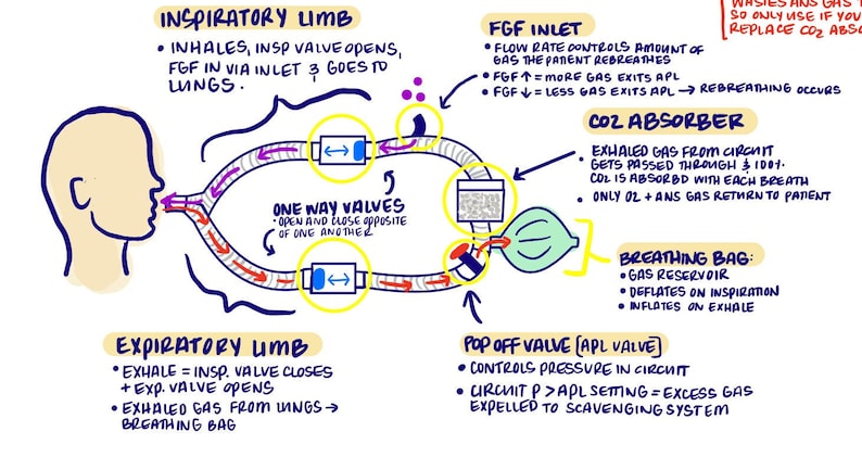 Anesthesia Machine Checkout Prep Etsy