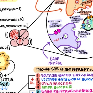 Pharmacology Anti-Epileptics