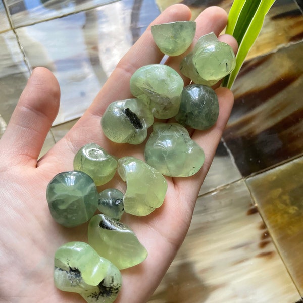 Tumbled Prehnite Stone - Prehnite Crystal- Solar Plexus/Heart Chakra