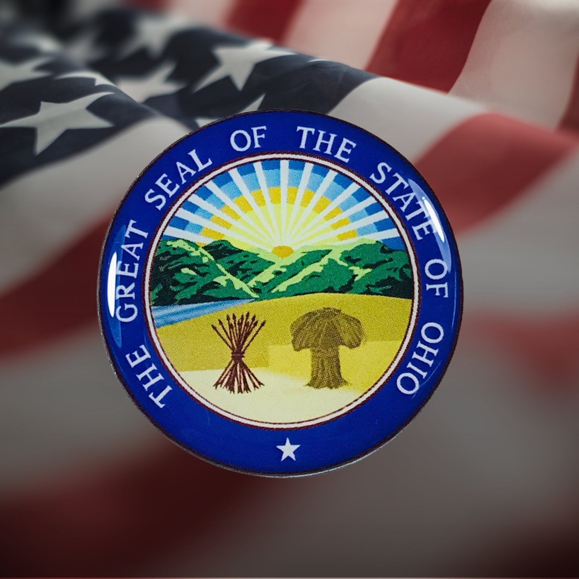 Ohio Seal, State Seal, Ohio Enamel Pin, Seal Emblem Pin, Ohio Souvenir