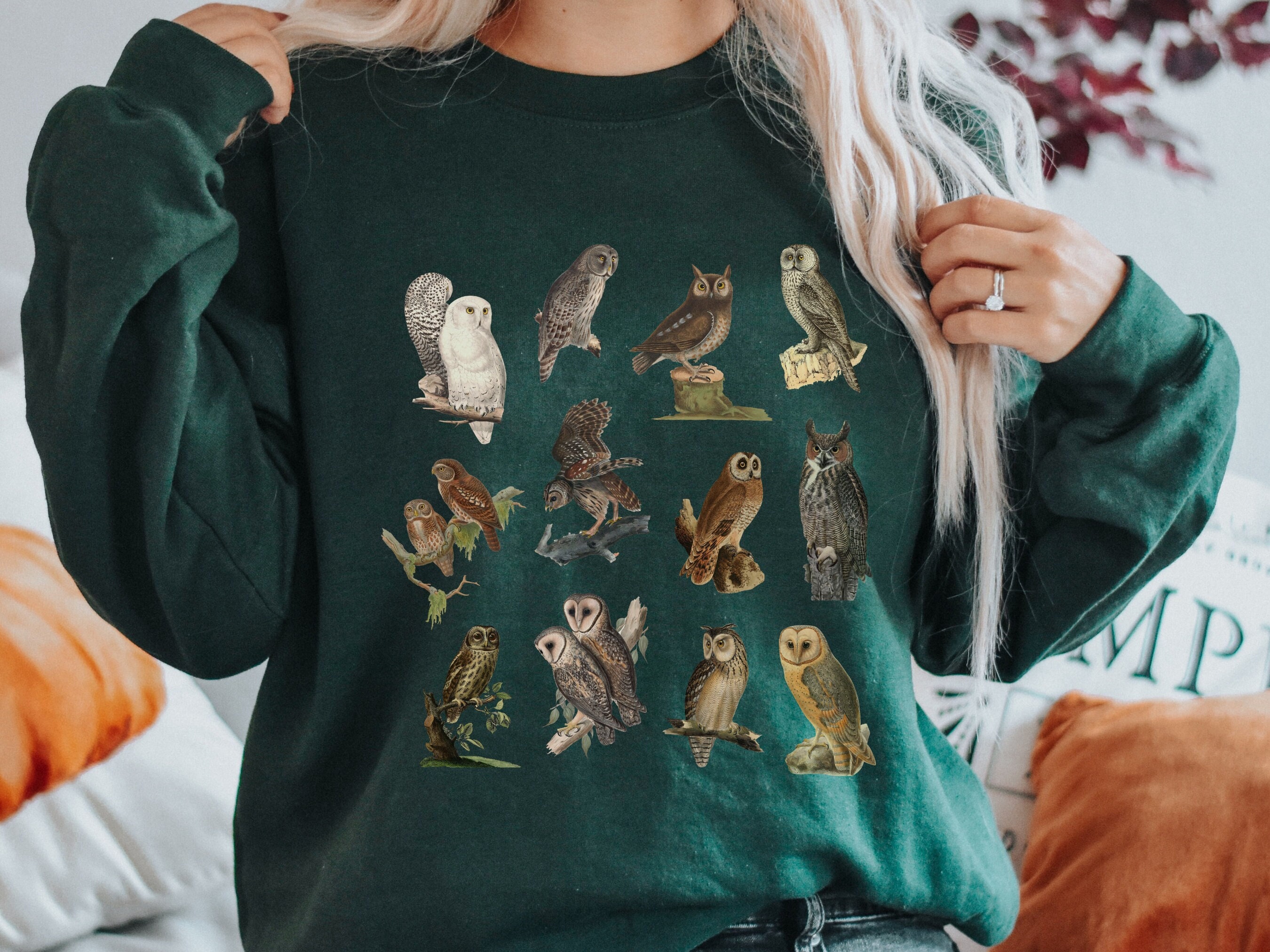 Dark academia Vintage Owl Sweatshirt, whimsigoth sweatshirt, Cottagecore Sweatshirt, owl shirt, Vint