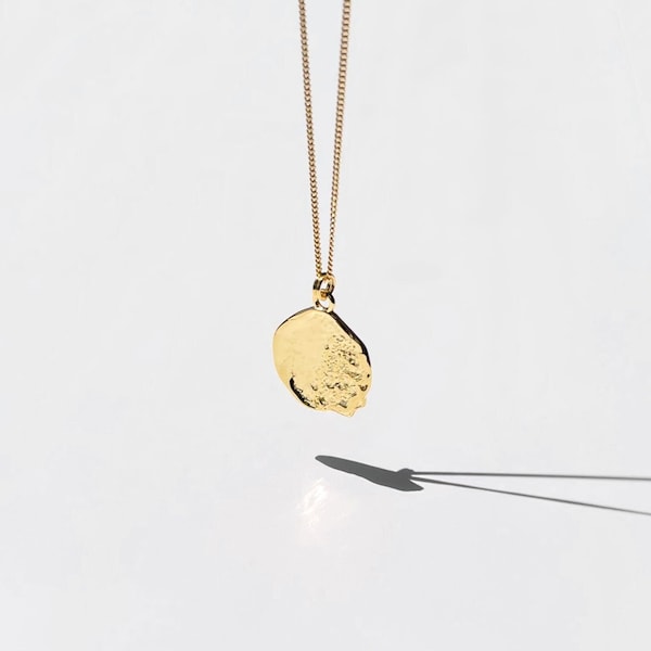 Gold Vermeil Necklace, Dainty Gold Necklace, Layered Necklace, Gold Pendant Necklace, Gold Coin Necklace, Hammered Gold Necklace