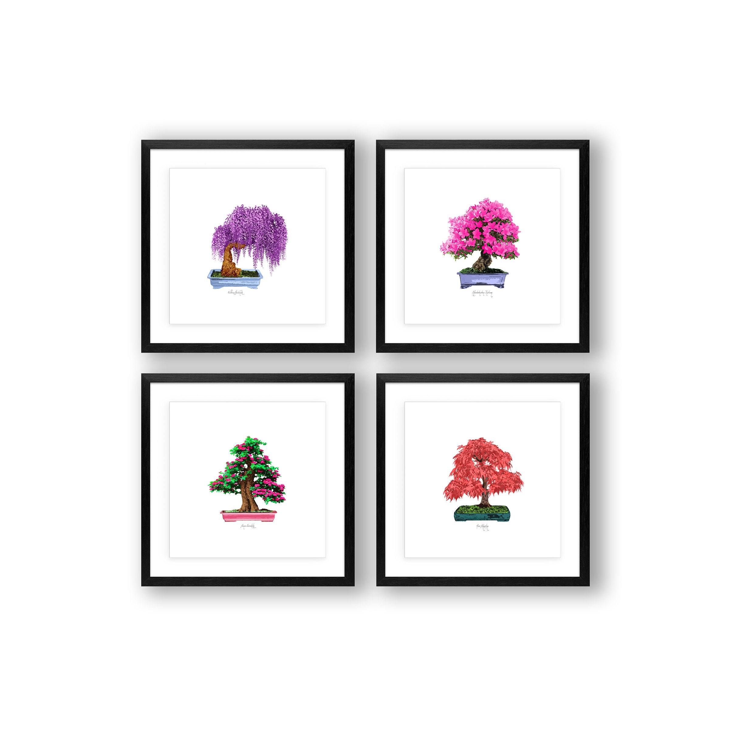 Set of 4 Bonsai Prints 8x8 Vibrant Color Set Square Prints Wall Art