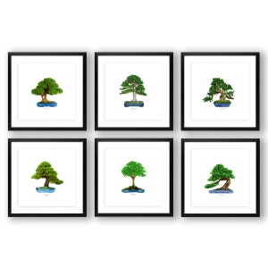 Bonsai Tree Prints (Set of 6): All Green Square Wall Art