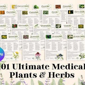 101 erbe stampabili, profilo delle erbe, botanica medica, biomedicina, erboristeria, Canva, farmacia, erbe medicinali, guida ai rimedi naturali