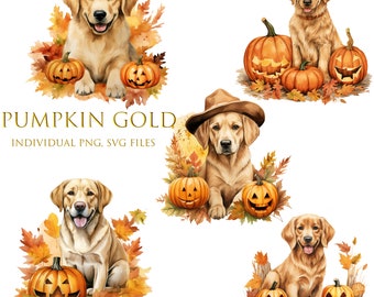 Set of Watercolor Vintage Gold With Pumpkins, Fall PNG,SVG For Commercial Use POD,Autumn Clipart For Sublimation prints on  demand and more