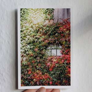 Karte Ivy|Fotopostkarte |Postkarte| Grußkarte | Analoger Fotodruck | Analoge | Geschenkkarte| Fotografie|Taylor|Seven|Folklorestyle|Sommer