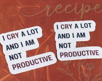 Taylor Lyric Sticker | I cry a lot | vinyl sticker | glitter eraser | gift idea | humor | merchandise | laptop sticker | waterproof