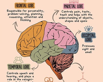 Brain Poster, Psychology Office Decor , Mental Health Poster for Classroom School Counsellor, Therapist Office Decor