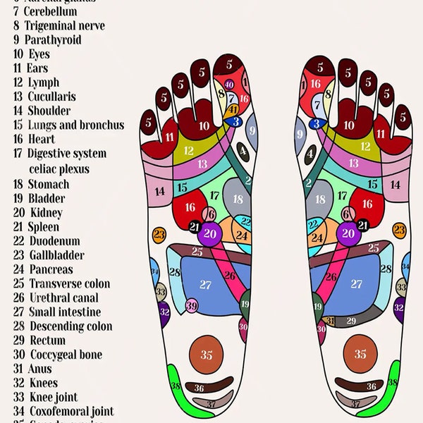 Acupuncture Points On The Feet, The Reflex Zones On The Feet, Acupuncture poster wall art home-decor
