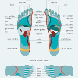 Reflexologie voetmassage, drukpunten in je voeten poster, voetreflexologie grafiek muur kunst home-decor
