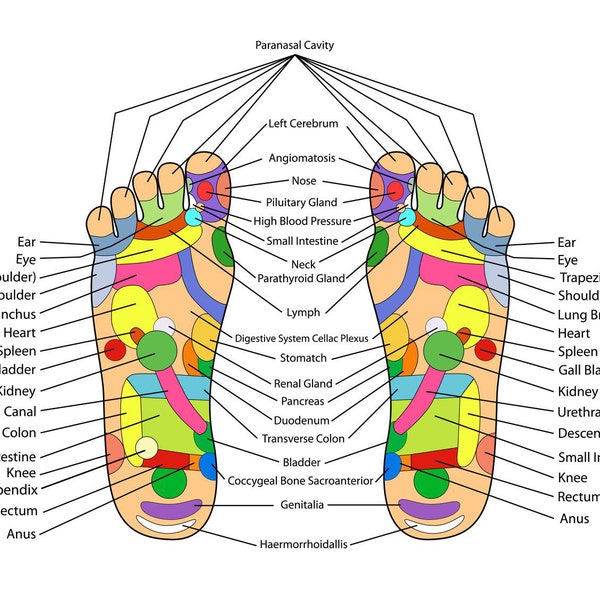 Reflexology Poster Etsy Reflexology Poster Etsy