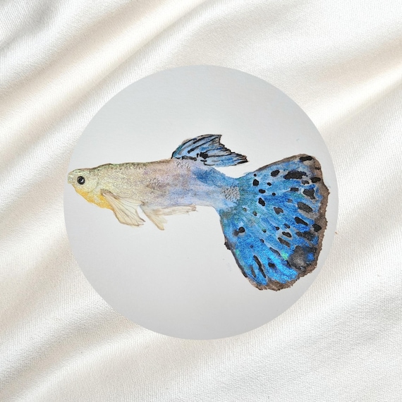 Guppy Beta Fish Gift Lucky Charm Watercolor Hand-painted Picture