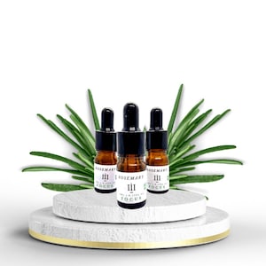 Può includere: Tre piccoli flaconi di vetro ambrato con contagocce, ognuno contenente olio essenziale di rosmarino. I flaconi sono etichettati "Rosemary III Focus" e sono disposti su una piattaforma bianca con un bordo dorato.