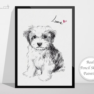 Pencil Sketch Pet Portrait, Pet Canvas, Pet Painting, Custom Dog Portrait, Pet loss Gift, Pet Memorial Gift, Pet Art