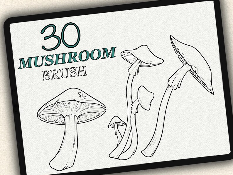 30 MUSHROOM BRUSH for Procreate / Photoshop / Clip Studio Paint ...