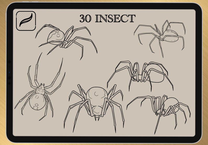 30 INSECT BRUSH for Procreate / Photoshop / Clip Studio Paint 2022 collection image 7