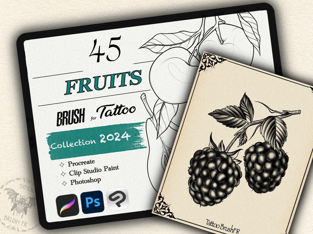 45 FRUITS BRUSH for Procreate / Photoshop / Clip Studio Paint ...