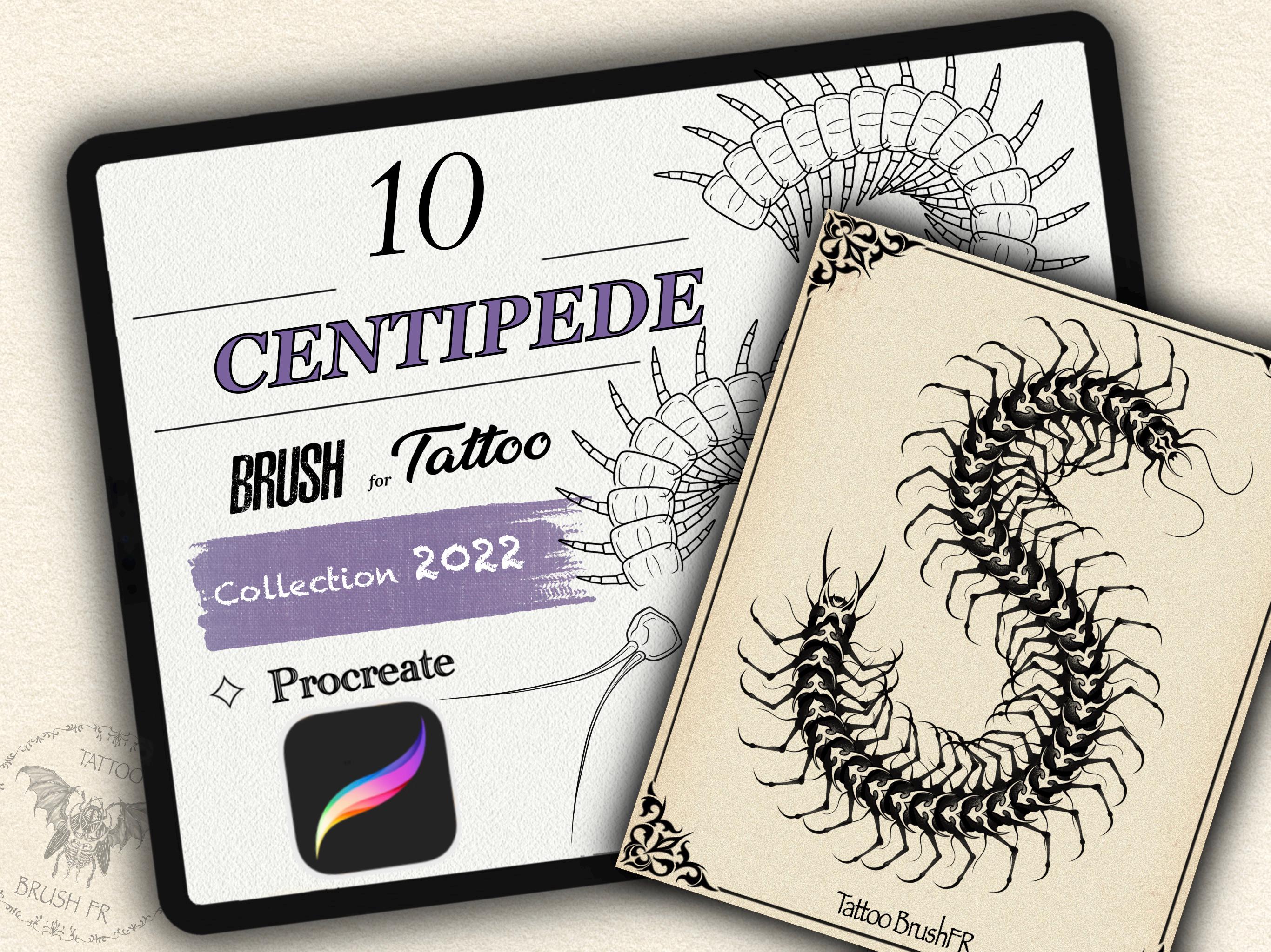 10 pinceles de ciempiés y milpiés para Procreate – Crea insectos rápidamente