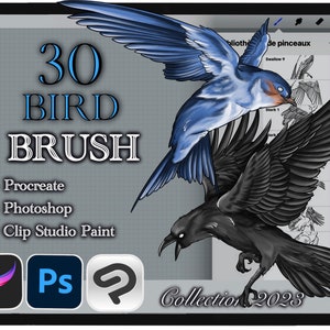 30 BIRD BRUSH for Procreate / Photoshop / Clip Studio Paint