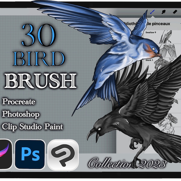 30 BIRD BRUSH for Procreate / Photoshop / Clip Studio Paint