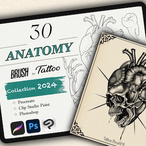 Op de afbeelding: Een digitale illustratie van een schedel met een hart erin, omringd door een stervormig patroon. De afbeelding is gelabeld "Tattoo BrushFR" en maakt deel uit van een verzameling van 30 anatomiepenselen voor tatoeëerders. De penselen zijn compatibel met Procreate, Clip Studio Paint en Photoshop.