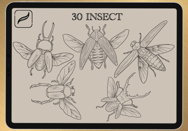 30 INSECT BRUSH for Procreate / Photoshop / Clip Studio Paint 2022 collection image 4