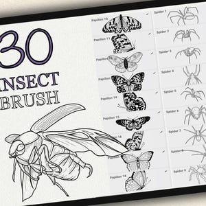 K&ouml;nnte beinhalten: Eine digitale Illustration von 30 Insektenb&uuml;rsten, darunter Schmetterlinge, Motten und Spinnen. Die B&uuml;rsten sind Schwarzwei&szlig;-Zeichnungen und mit ihren Namen beschriftet.