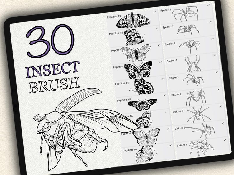K&ouml;nnte beinhalten: Eine digitale Illustration von 30 Insektenb&uuml;rsten, darunter Schmetterlinge, Motten und Spinnen. Die B&uuml;rsten sind Schwarzwei&szlig;-Zeichnungen und mit ihren Namen beschriftet.