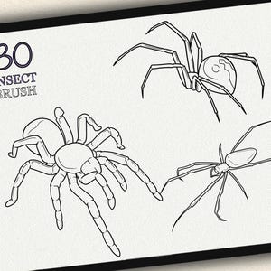 K&ouml;nnte beinhalten: Eine Schwarzwei&szlig;-Zeichnung von drei Spinnen. Die Zeichnung ist mit "30 Insect Brush" beschriftet.