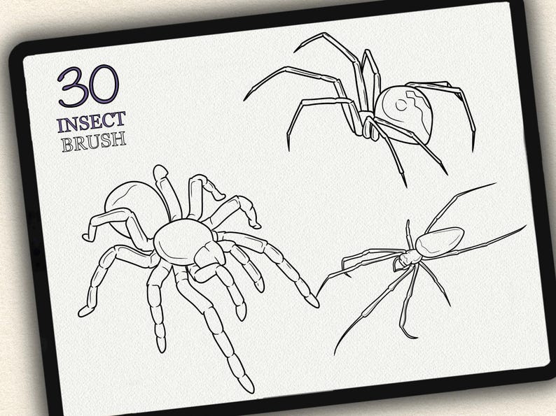 K&ouml;nnte beinhalten: Eine Schwarzwei&szlig;-Zeichnung von drei Spinnen. Die Zeichnung ist mit "30 Insect Brush" beschriftet.