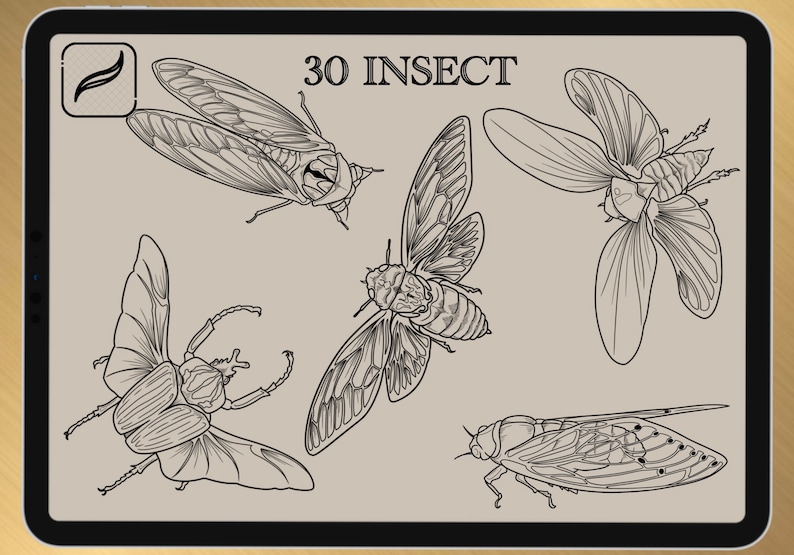30 INSECT BRUSH for Procreate / Photoshop / Clip Studio Paint 2022 collection image 6
