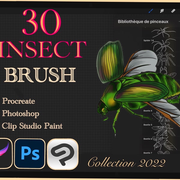 30 INSECT BORSTEL voor Procreate / Photoshop / Clip Studio Paint (collectie 2022)