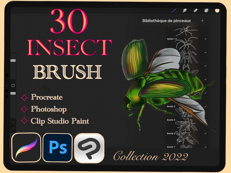 30 INSECT BRUSH for Procreate / Photoshop / Clip Studio Paint 2022 collection image 1