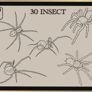 30 INSECT BRUSH for Procreate / Photoshop / Clip Studio Paint 2022 collection image 2