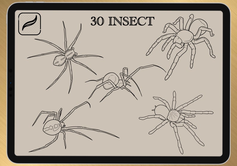30 INSECT BRUSH for Procreate / Photoshop / Clip Studio Paint 2022 collection image 2
