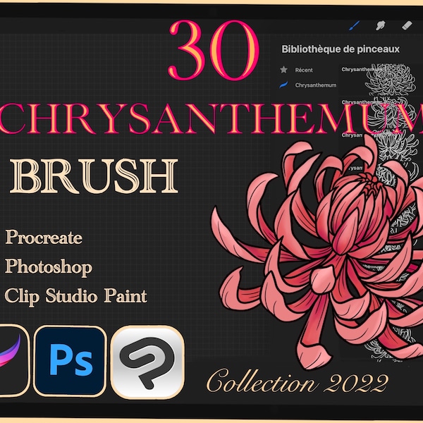 30 CHRYSANTHEMUM BRUSH for Procreate / Photoshop /Clip Studio Paint (collection 2022)