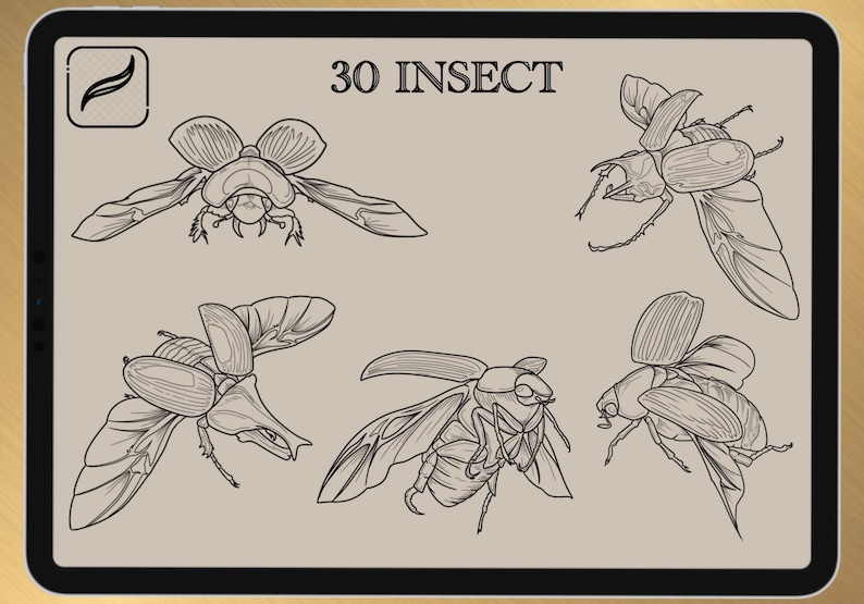 30 INSECT BRUSH for Procreate / Photoshop / Clip Studio Paint 2022 collection image 5