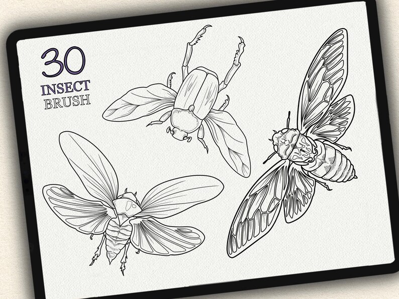 K&ouml;nnte beinhalten: Ein Set mit 30 Insekten-Pinsel-Designs, darunter ein K&auml;fer, eine Zikade und eine Libelle. Die Insekten sind in schwarzer Tinte auf wei&szlig;em Hintergrund gezeichnet.