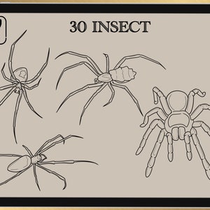 30 INSECT BRUSH for Procreate / Photoshop / Clip Studio Paint 2022 collection image 3