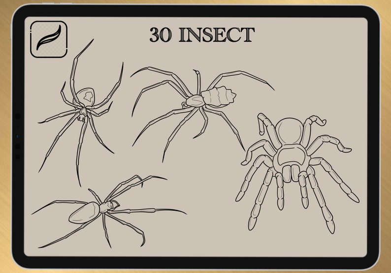 30 INSECT BRUSH for Procreate / Photoshop / Clip Studio Paint 2022 collection image 3