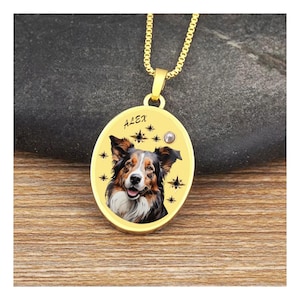 Custom Pet Portrait Necklace – Hand Painted Cat andDog Memorial Pendant – Personalized Enamel Pet Keepsake Jewelry – Gift for Dog and cat
