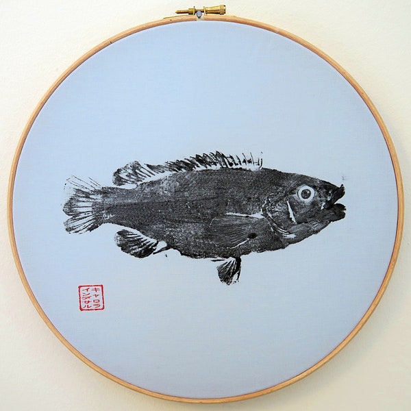 Gyotaku traditionnel de corlazo (pêché à Groix) dans cercle à broder - Empreinte à l'encre de Chine, tissu bleu clair - Unique et original !