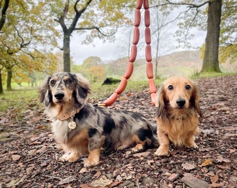 Laisse pour chien saucisse « Hotdog » - Fabriquée à la main au Royaume-Uni - Laisse pour chien amusante - Parfaite pour les teckels, les chiots et les petits chiens - Cadeau pour chien