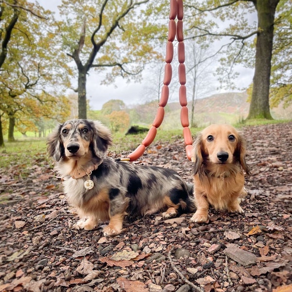 De "Hotdog" Sausage Dog Lead - Handgemaakt in Groot-Brittannië - Leuke hondenriem - Perfect voor teckels, puppy's en kleine honden - Cadeau voor honden
