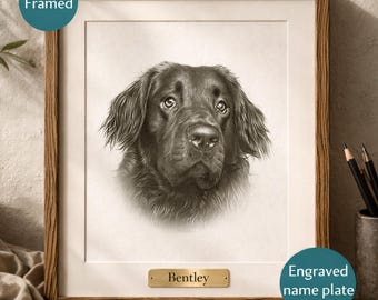 Ritratto personalizzato di animale domestico con cornice, realizzato a grafite – Opera d'arte incorniciata per cani e gatti con targhetta incisa