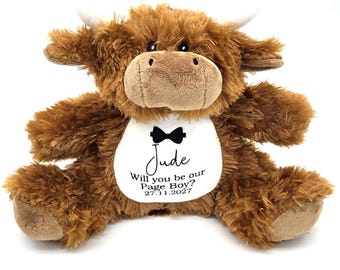 Personalised Page Boy Proposal | Will you be my? | Wedding Teddy
