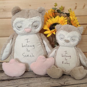 Personalised Owl Teddy | Cute Owl Toy | Birthday, Christening Gift | Newborn Keepsake | Soft Cuddly Owl | Plush Owl Toy | Sibling Gift