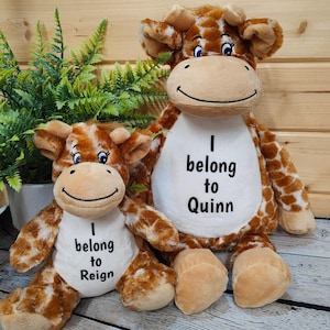 Personalised Giraffe Toy | Cute Soft Giraffe Teddy | Birthday, Safari Animal Gift Ideas | Newborn Keepsake |  Zoo Animal Soft Toy Gift